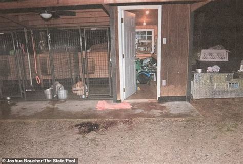 leaked murdaugh crime scene photos|Chilling photos reveal bloody crime scene where Maggie and Paul ...